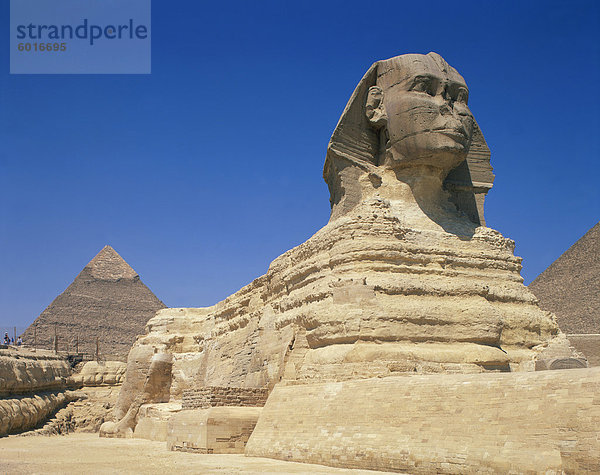 Die große Sphinx und einer der die Pyramiden von Gizeh  UNESCO Weltkulturerbe  Kairo  Ägypten  Nordafrika  Afrika