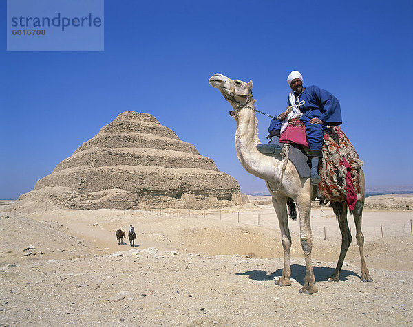 Anleitung  Kamel vor der Stufenpyramide des Pharao Zoser bei Saqqara (Sakkara)  UNESCO Weltkulturerbe  Ägypten  Nordafrika  Afrika