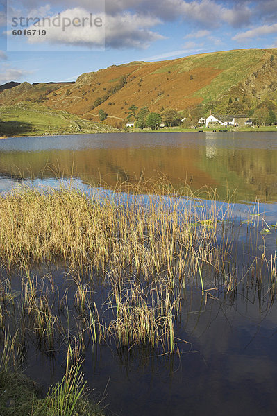 Herbstfarben  Watendlath Tarn  Borrowdale  Lake District-Nationalpark  Cumbria  England  Vereinigtes Königreich  Europa