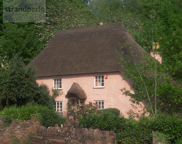 Europa waschen Großbritannien pink Reetdach Devon England