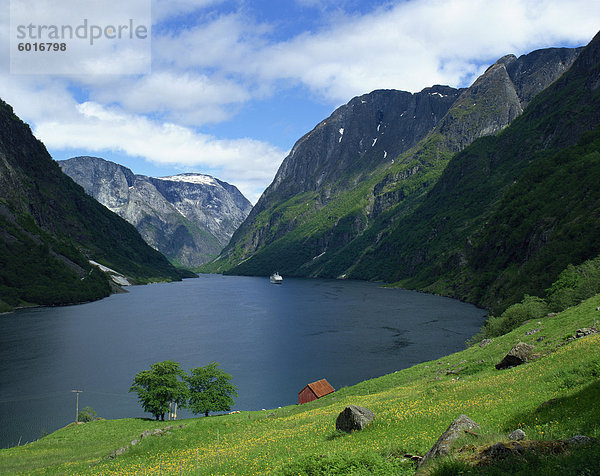 Sognefjord  Norwegen  Skandinavien  Europa