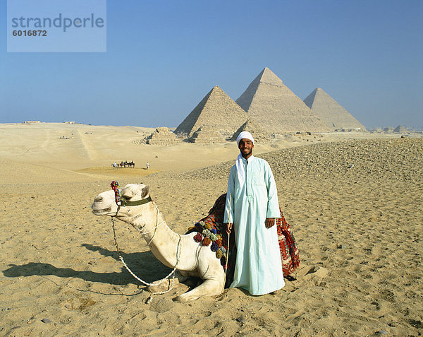 Camel und Besitzer zu den Pyramiden von Gizeh  Gizeh  Kairo  Ägypten  Nordafrika  Afrika
