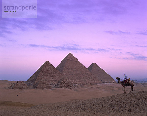 Kamel Fahrer auf die Pyramiden von Gizeh  Giza  UNESCO Weltkulturerbe  Kairo  Ägypten  Nordafrika  Afrika