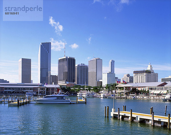 Marina und City Skyline  Miami  Florida  Vereinigte Staaten von Amerika  Nordamerika