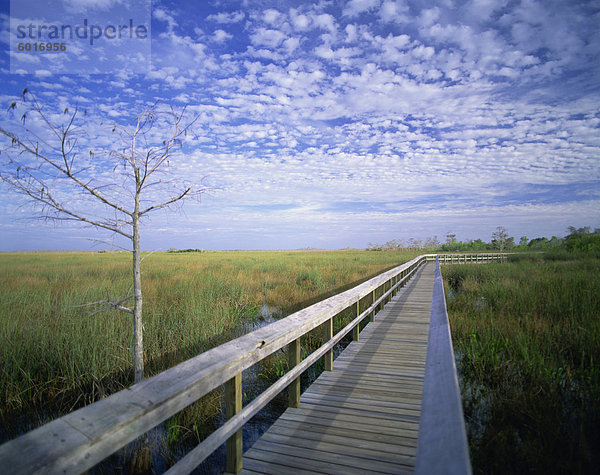 Anzeigen von Gehweg  Everglades National Park  Florida  Vereinigte Staaten von Amerika  Nordamerika