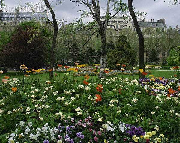Mohnblumen im Parc de Monceau  Paris  Frankreich  Europa