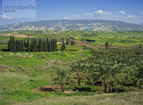 Palmen und Felder im Jordantal  mit Hügeln im Hintergrund  in der Nähe von Gescher  Israel  Naher Osten