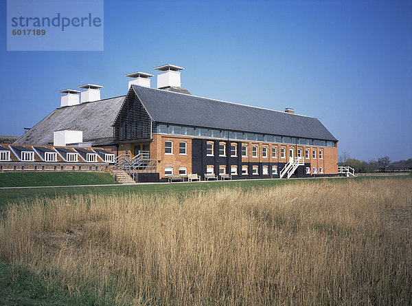 Maltings Concert Hall aus dem Schilf  Snape  Suffolk  England  Vereinigtes Königreich  Europa