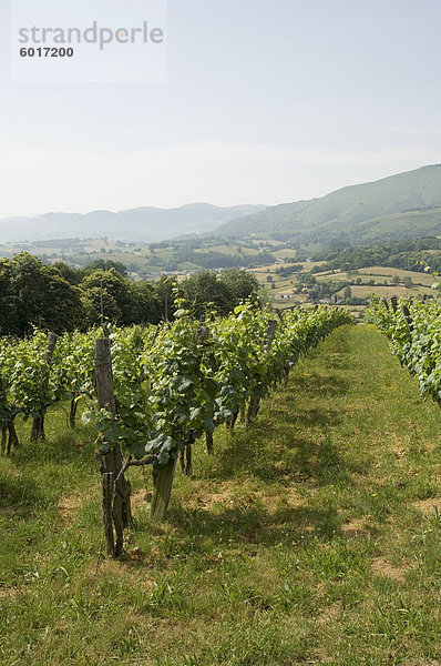 Landschaft in der Nähe von St. Jean Pied de Port  baskische Land  Pyrenees-Atlantiques  Aquitaine  Frankreich  Europa