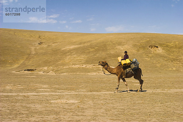 Junge Reiten Kamel  zwischen Maimana und Mazar-I-Sharif  Afghanistan  Asien