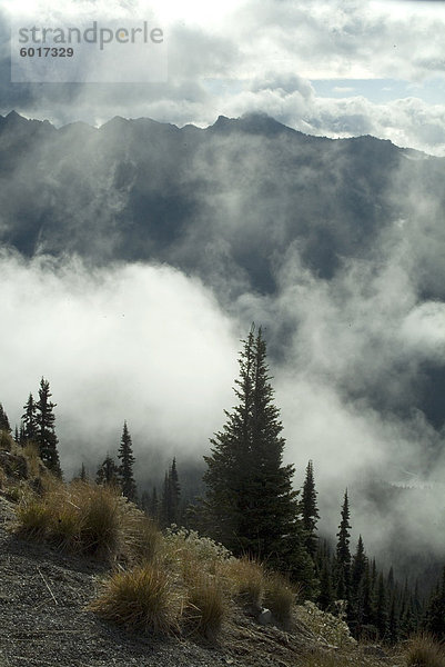 Sunrise  Mount-Rainier-Nationalpark  Washington Zustand  Vereinigte Staaten  Nordamerika