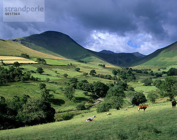 Keskadale und Derwent Fells in der Nähe von Keswick  Lake District-Nationalpark  Cumbria  England  Vereinigtes Königreich  Europa