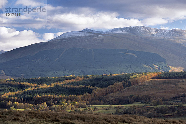 Leanachan Wald und Ben Nevis massiv aus dem Norden  in der Nähe von Fort William  Hochlandregion  Schottland  Vereinigtes Königreich  Europa