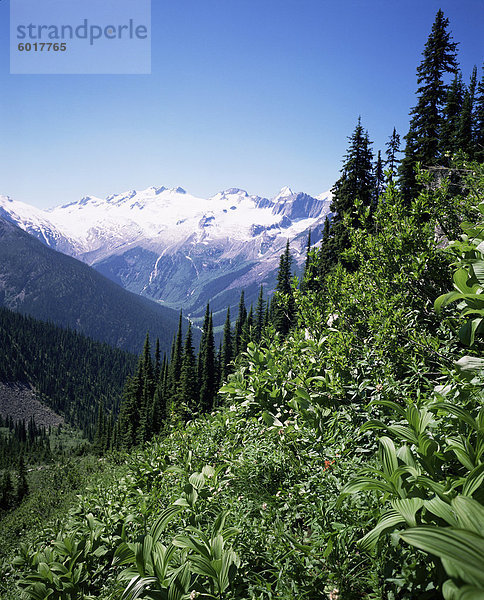 Bonney Range  Gletscher-Nationalpark  Rocky Mountains  British Columbia  Kanada  Nordamerika
