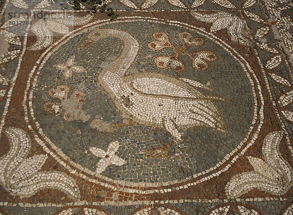 Mosaik aus ca. 400 n. Chr.  Soli  Nord-Zypern  Zypern  Europa