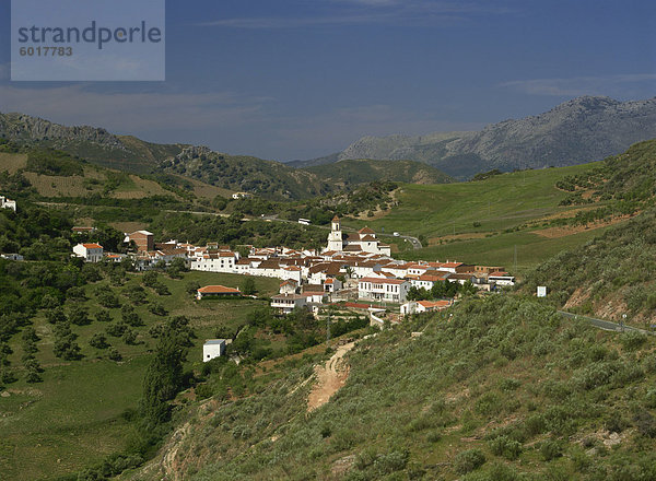 Atajate im Genal Tal  Andalusien  Spanien  Europa