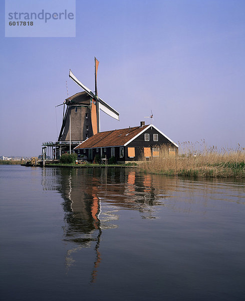 Windmühle  Zaanse Schans  in der Nähe von Amsterdam  Holland  Europa