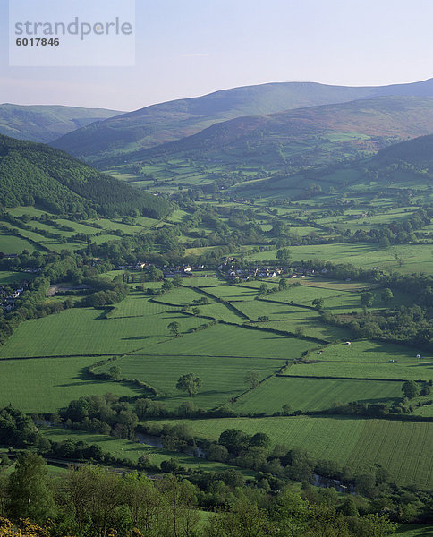 Felder in den Tälern  in der Nähe von Brecon  Powys  Wales  Vereinigtes Königreich  Europa