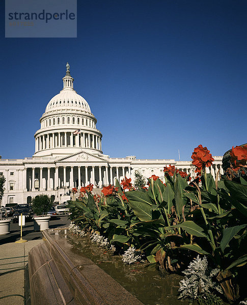 Das Kapitol aus dem Osten  Washington D.C.  Vereinigte Staaten von Amerika  Nordamerika