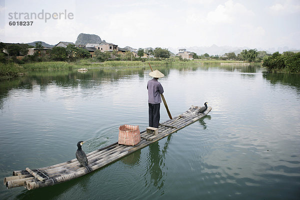 Fischer mit Kormoranen  Yangshuo  Li Fluss  Provinz Guangxi  China  Asien