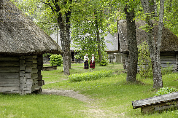 Traditionelle lettische Gebäude  lettische ethnographische Freilichtmuseum (Latvijas Etnografiskais Brivdabas Muzejs)  in der Nähe von Riga  Lettland  Baltikum  Europa