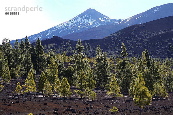 Las Canadas  Parque Nacional del Teide  UNESCO Weltkulturerbe  Teneriffa  Kanarische Inseln  Spanien  Europa