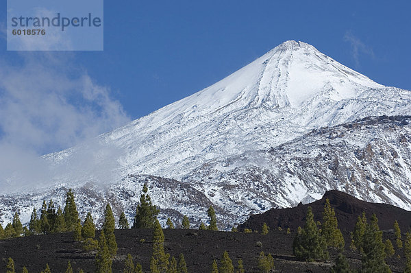 Mount Teide  Teneriffa  Kanarische Inseln  Spanien  Atlantik  Europa