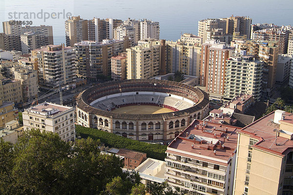 Bull Ring  Malaga  Andalusien  Spanien  Europa