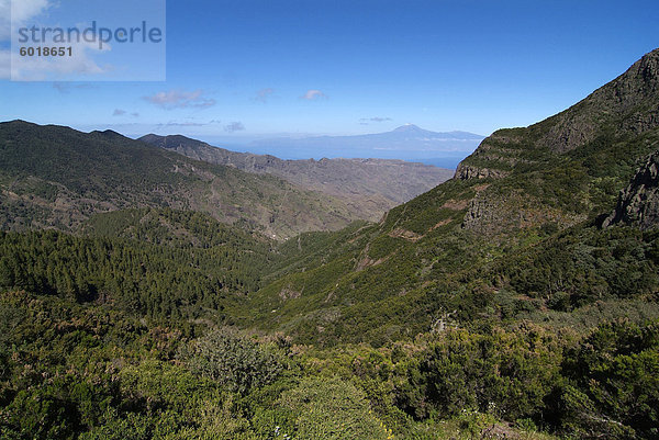 Parque Nacional de Garajonay  UNESCO Weltkulturerbe  Gomera  Kanarische Inseln  Spanien  Europa