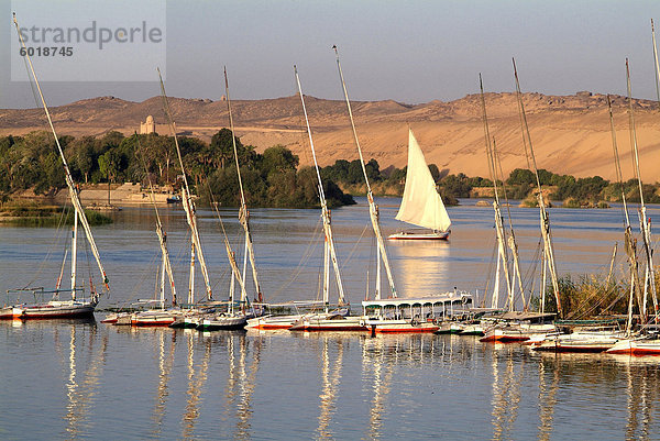 Nil-Szene in der Nähe von Assuan  Ägypten  Nordafrika  Afrika