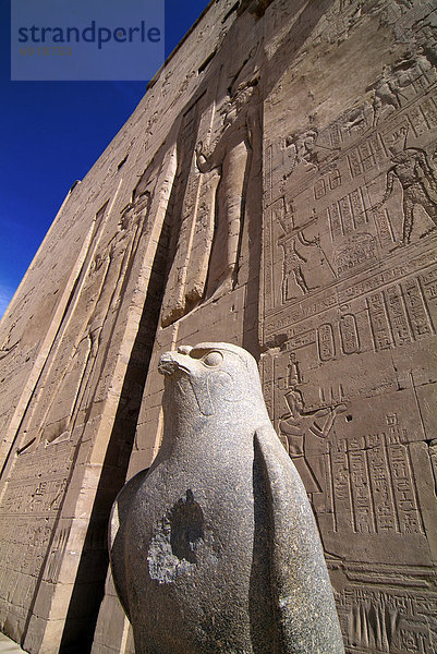 Horus-Tempel  Edfu  Ägypten  Nordafrika  Afrika