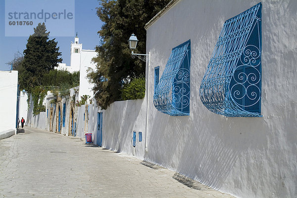 Sidi Bou Zid  Tunesien  Nordafrika  Afrika