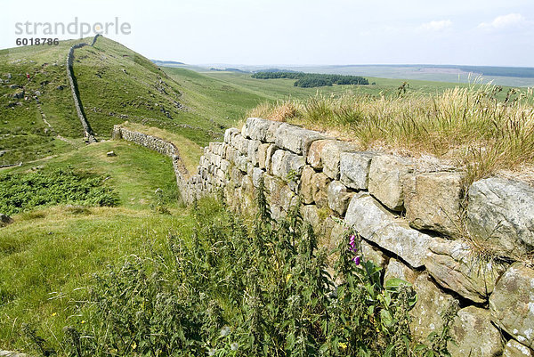 Der Hadrianswall  nahe lag  UNESCO Weltkulturerbe  Northumberland  England  Vereinigtes Königreich  Europa