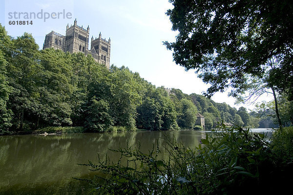 Kathedrale mit Blick auf Fluss Wear  UNESCO Weltkulturerbe  Durham  County Durham  England  Vereinigtes Königreich  Europa