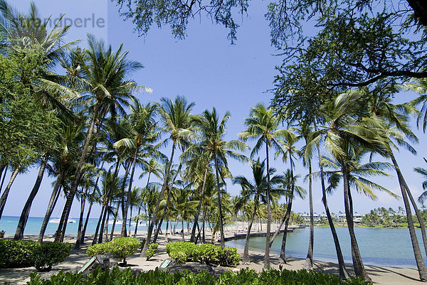 Waikaloa Beach  Insel von Hawaii (große Insel)  Hawaii  Vereinigte Staaten von Amerika  Pazifik  Nordamerika