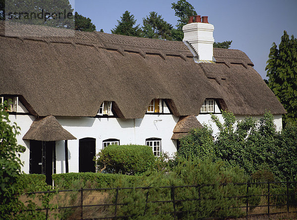 Europa Großbritannien Wald Landhaus Reetdach England Hampshire neu