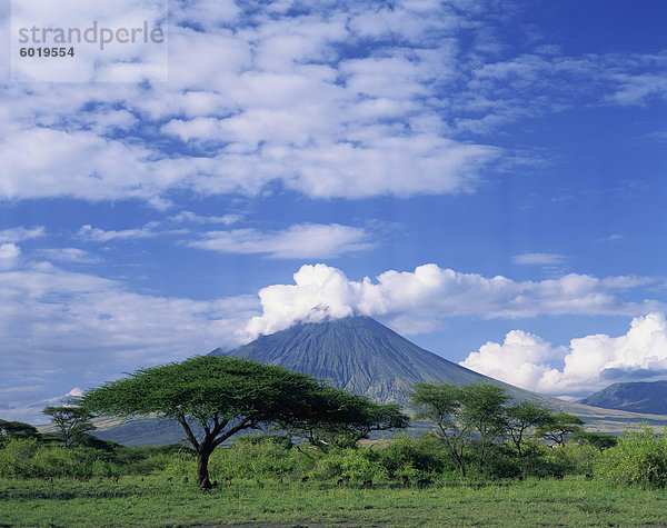 Der Vulkan Ol Doinyo Lengai  die Massai Holy Mountain  Tansania  Ostafrika  Afrika