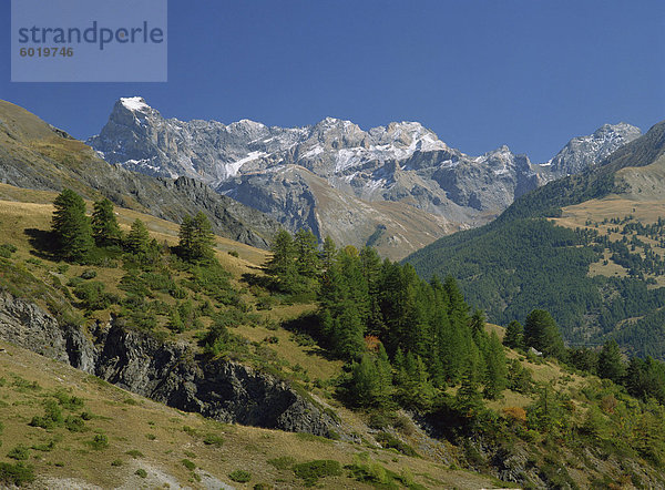 Landschaft mit Bäumen und Bergen in der Vanoise  Savoie (Savoy) im Rhone-Alpes  französische Alpen  Frankreich  Europa