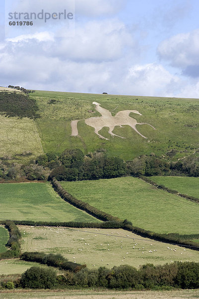 Das weiße Pferd Osmington Hill  Weymouth  Dorset  England  Vereinigtes Königreich  Europa