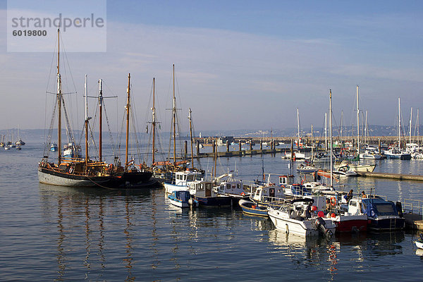 Marina  Brixham  Devon  England  Vereinigtes Königreich  Europa