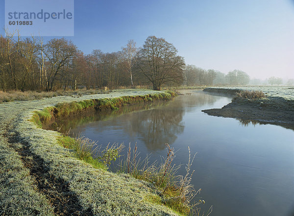 Der Fluss Wey in Gewitterhafte Meadows  ein frostigen Morgen auf Surrey Wildlife Trust Feuchtgebiet reserve  Elstead  Surrey  England  Vereinigtes Königreich  Europa