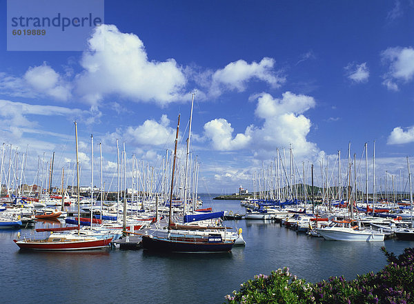 Howth Marina und Leuchtturm  haben aufeinanderfolgende Hafen Entwicklungen für die größte Yacht Club in Irland  Howth  Dublin  Republik Irland  Europa geliefert.