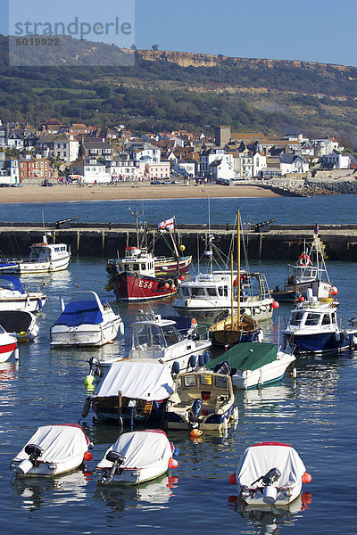 Hafen und Stadt  Lyme Regis  Dorset  England  Vereinigtes Königreich  Europa