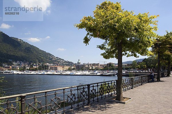Ansicht der Stadt vom See  Como  Comer See  Lombardei  italienische Seen  Italien  Europa
