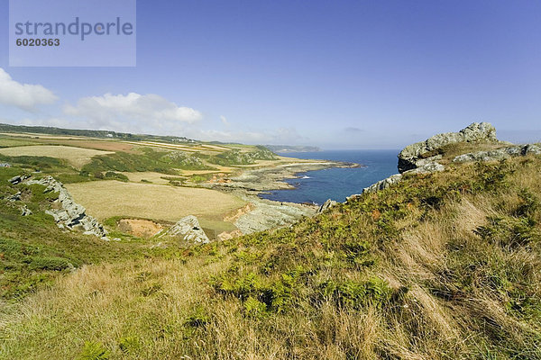 Blick von der Devon Coast Path an Prawle Stelle  South Hams  Devon  England  Vereinigtes Königreich  Europa