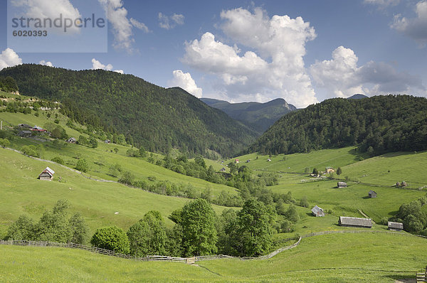 Alpine Landschaft  in der Nähe von Fundata und Kleie  Siebenbürgen  Rumänien  Europa