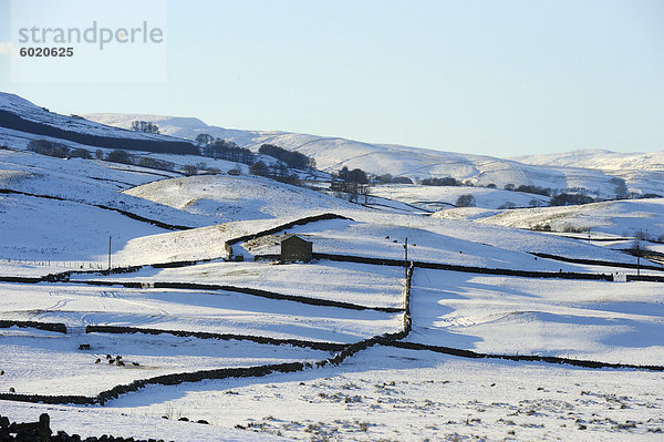 Winterliche Ansicht von Schnee bedeckt Felder  Wensleydale  Yorkshire Dales National Park  North Yorkshire  England  Vereinigtes Königreich  Europa