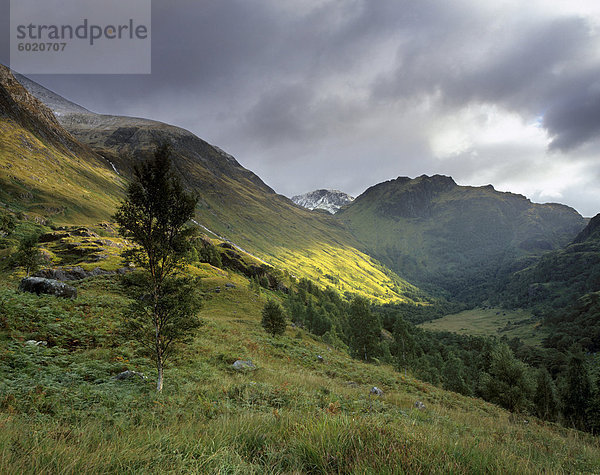 Hängen des Ben Nevis und Glen Nevis  nahe Fort William  Hochlandregion  Schottland  Vereinigtes Königreich  Europa