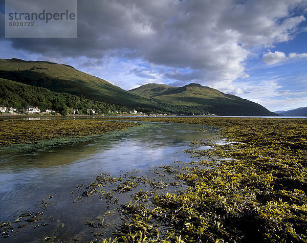 Dorf von Arrochar und Loch lang  Argyll and Bute  Schottland  Vereinigtes Königreich  Europa