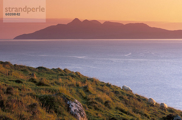 Schafe und Rum-Insel bei Sonnenuntergang von Skye  Isle Of Skye  Innere Hebriden  Schottland  Vereinigtes Königreich  Europa